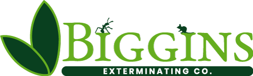Biggins Exterminating Co - Wilmington MA