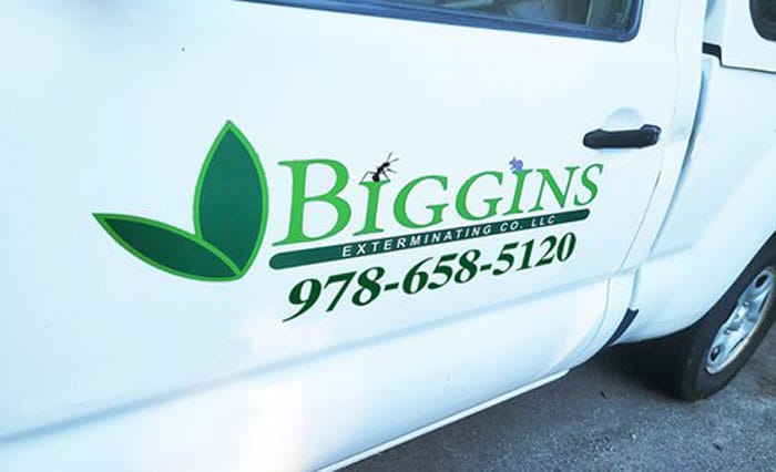 Residential Pest Control Bedford MA