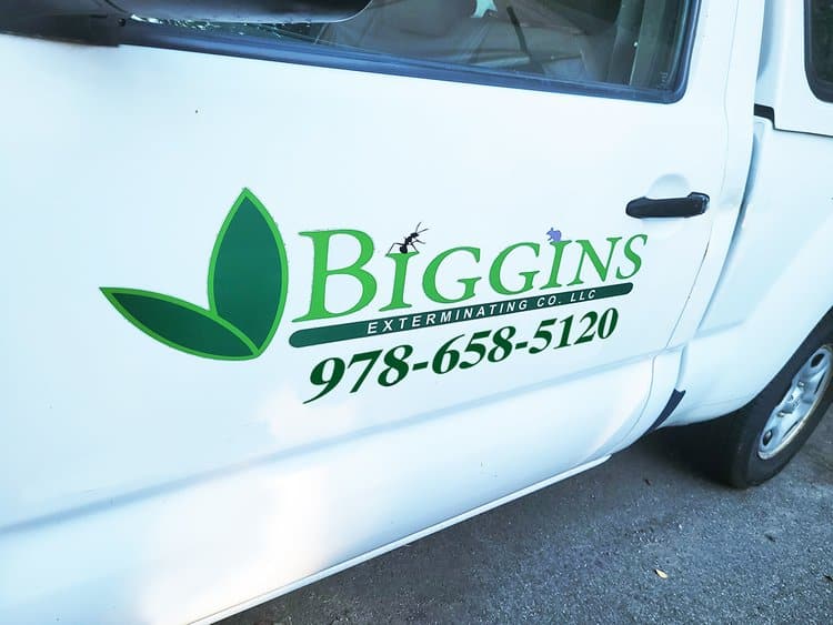 Call Biggins Exterminating 978-658-5120