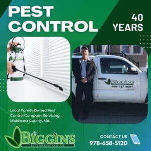Pest Control Tewksbury MA