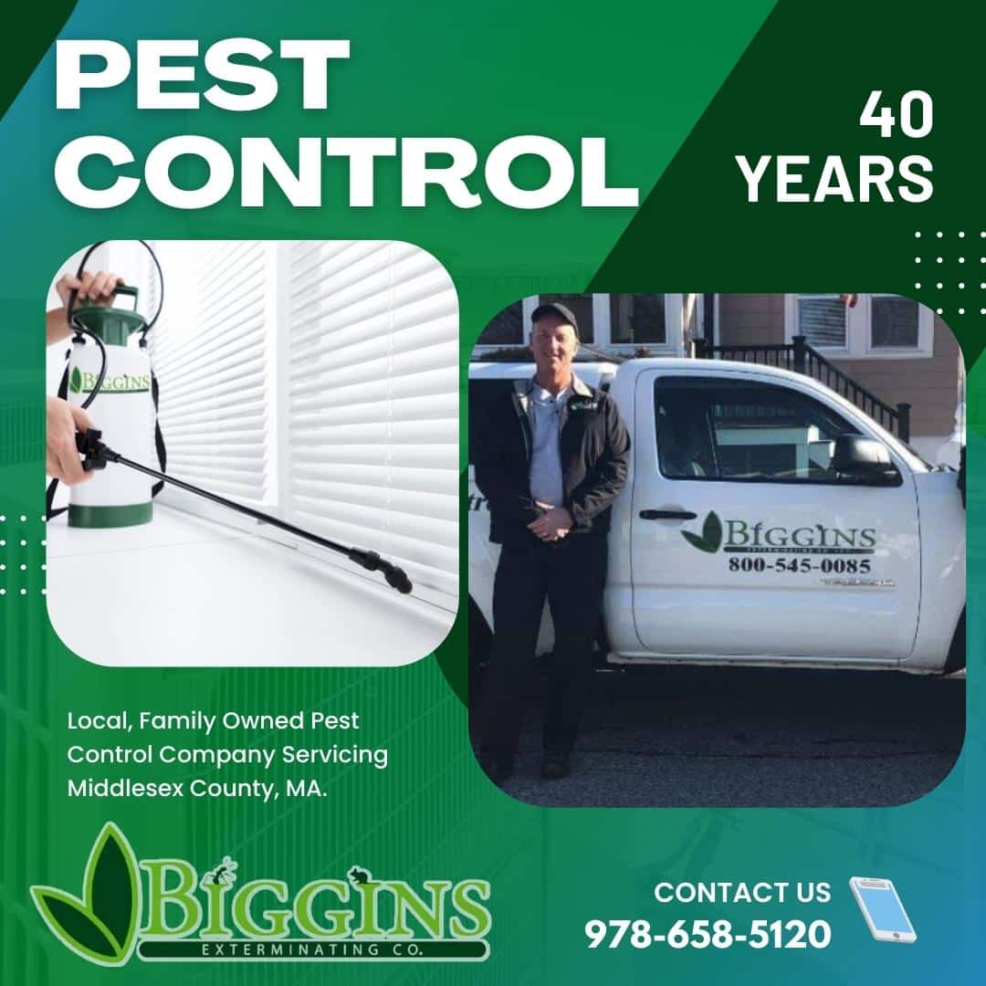 Pest Control Company Burlington, MA