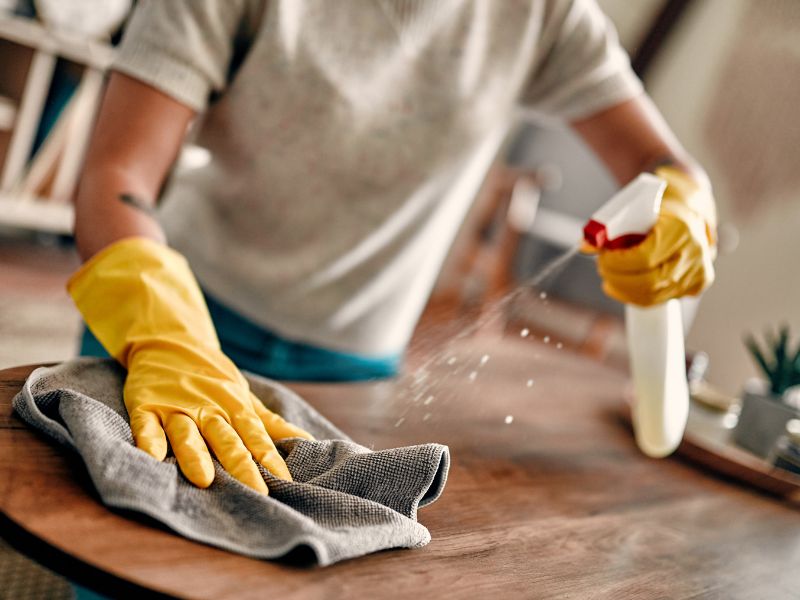 How to Prepare Your Home for Pest Control Treatment in Massachusetts