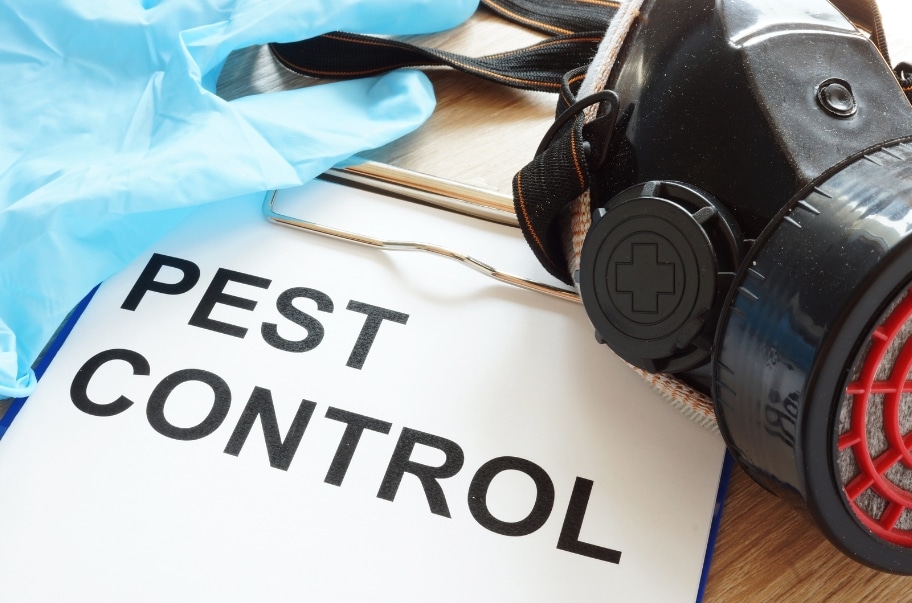 The Importance of Regular Pest Inspections: Safeguarding Your Home and Health