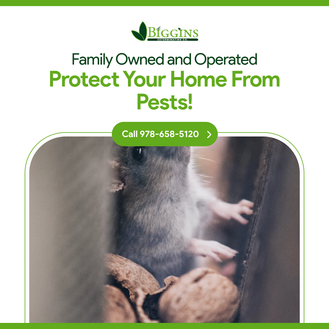 residential pest control wilmington ma