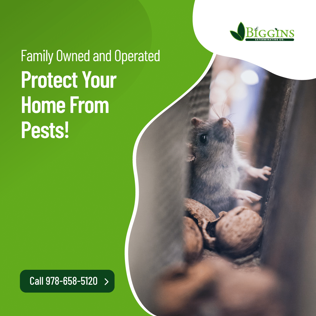 Exterminator Bedford MA