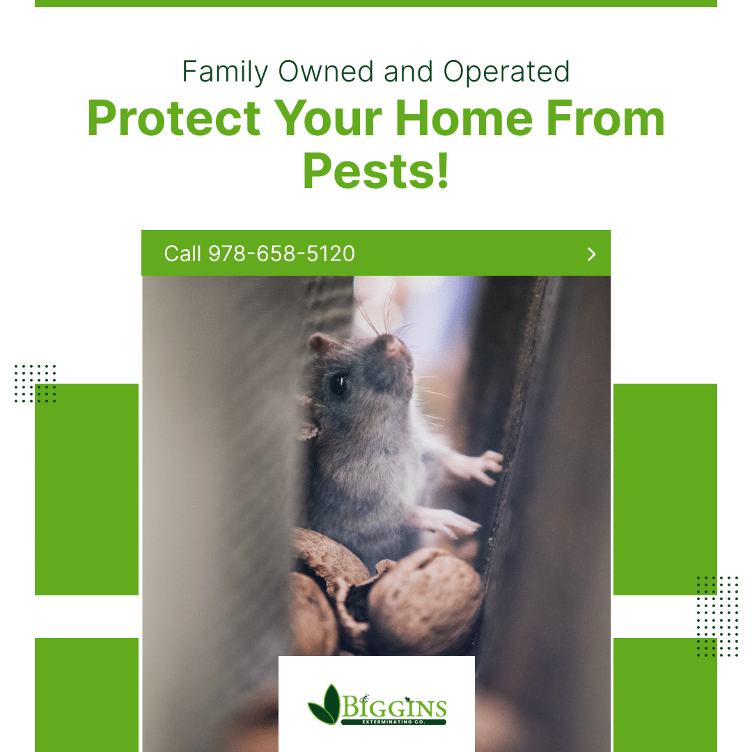 pest control Tewksbury