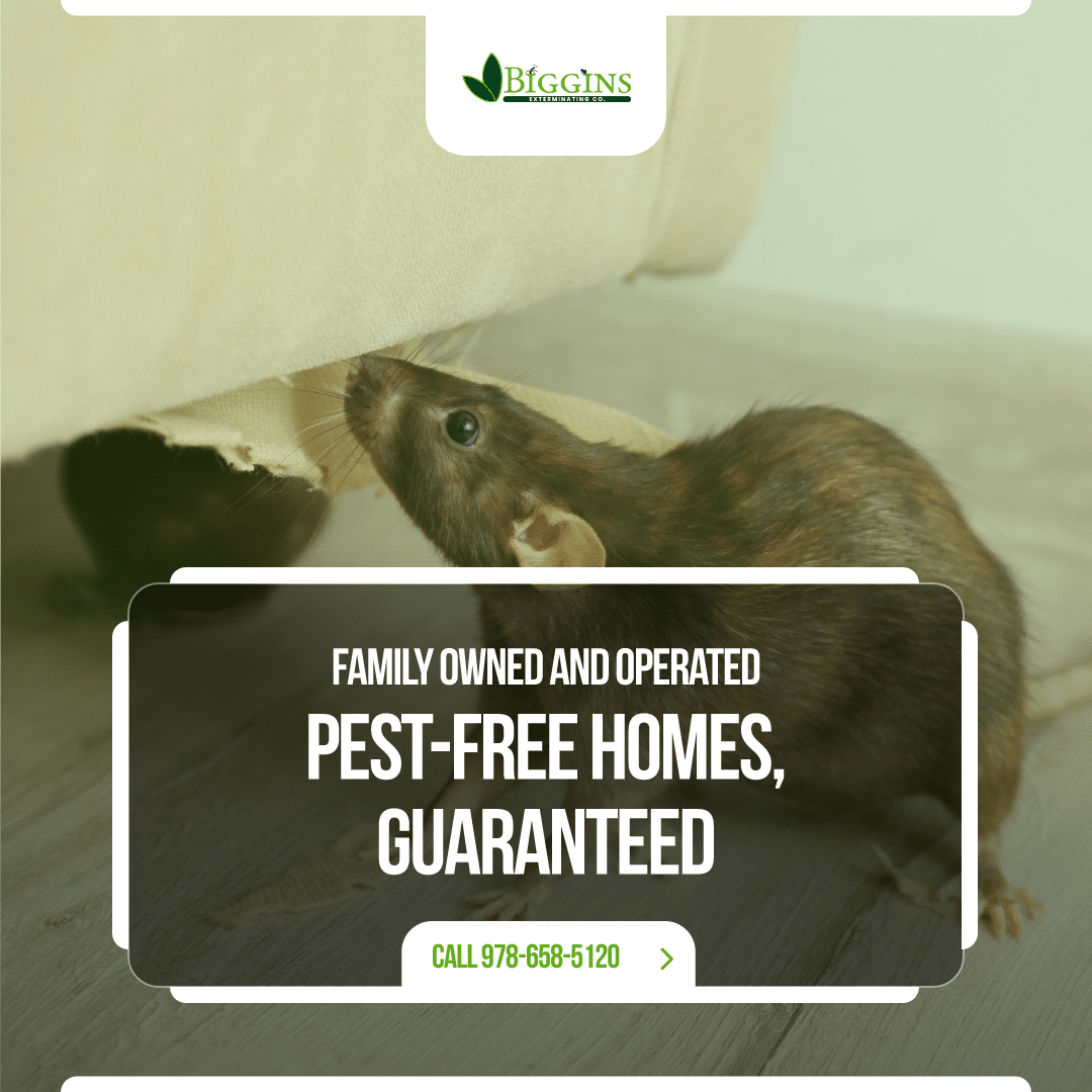 pest control reading ma pest control reading ma