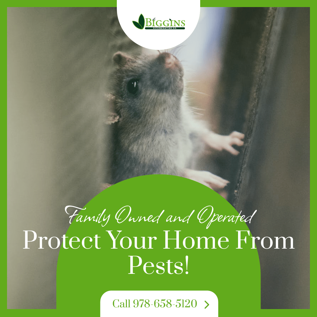 North Reading Pest Control
