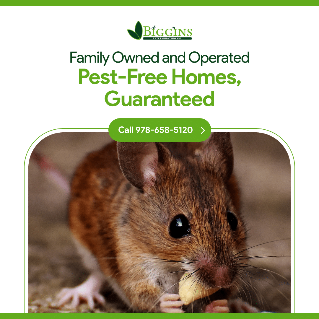 exterminator lexington ma