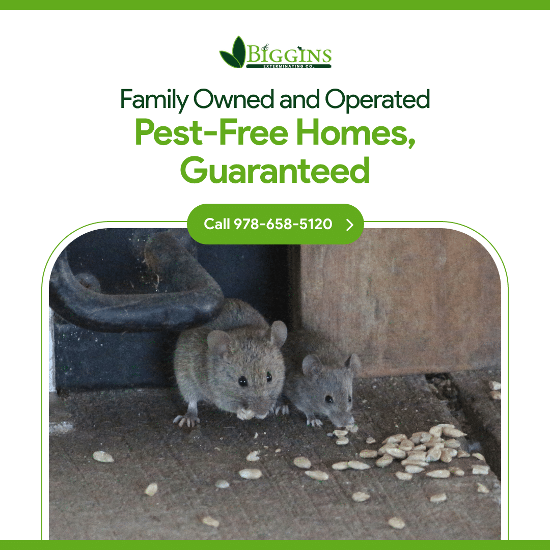 best exterminating services