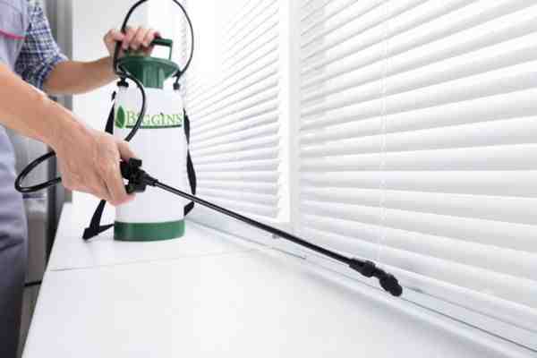 Pest Control Woburn MA