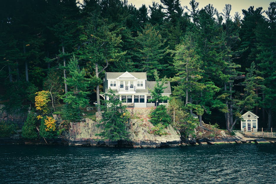 Pest control North Andover