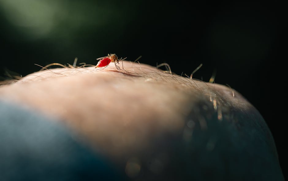 mosquito control Billerica MA