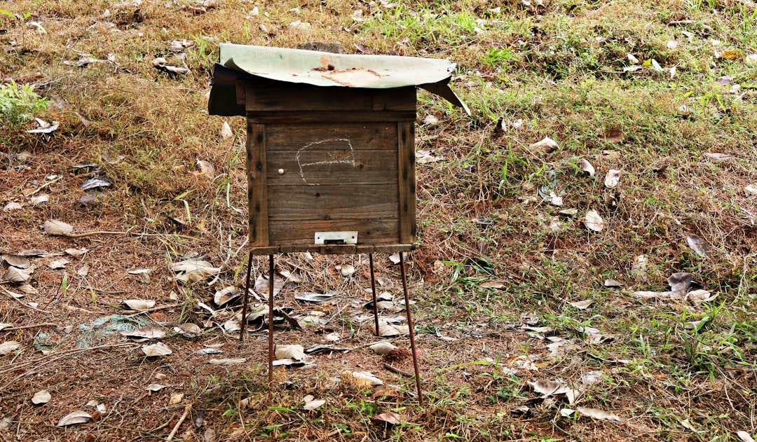 bee traps for carpenter bees