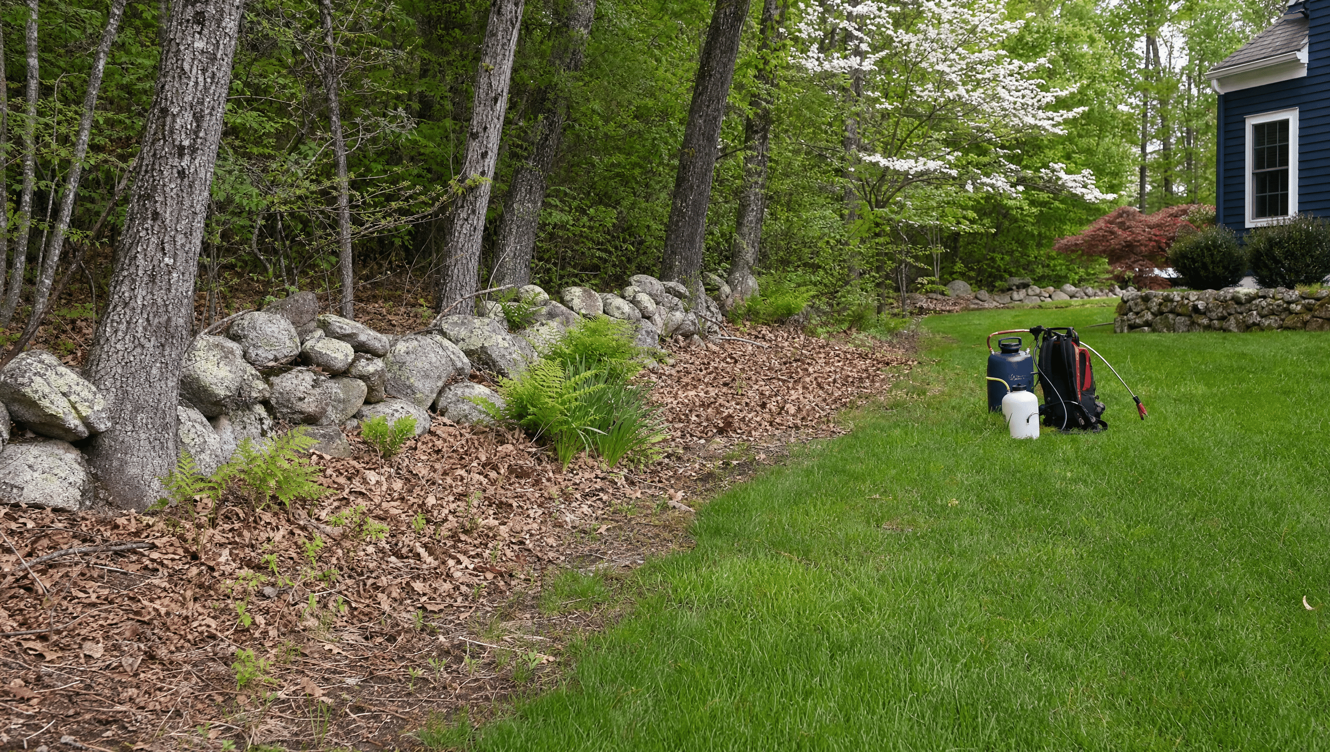 Targeted tick treatment at a Massachusetts wooded yard edge